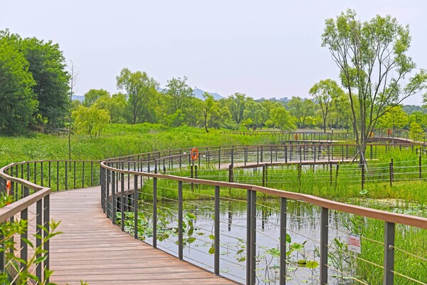 드림파크야생화공원