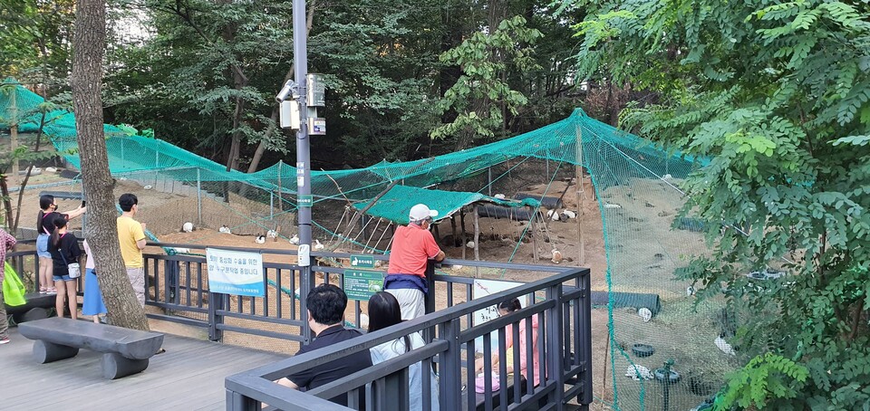 서울 배봉산에 설치된 집토끼 사육장