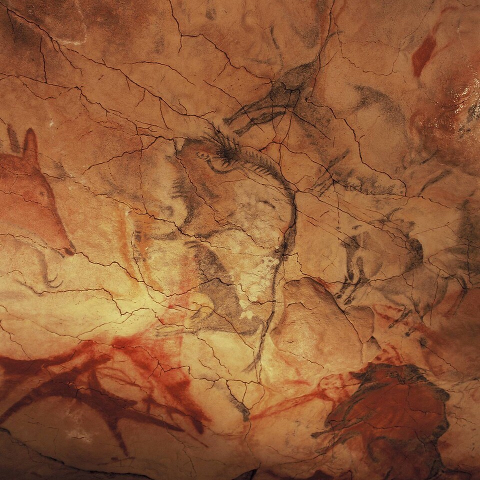 알타미라 동굴의 벽과 천장에 그려진 여러 동물 그림