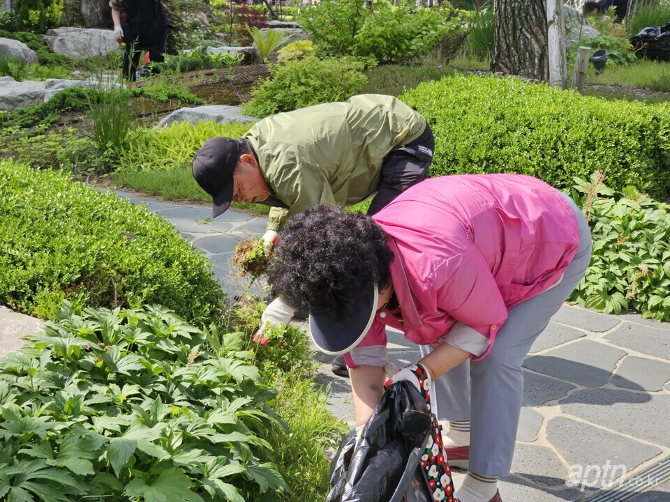 과천푸르지오라비엔오가  개최한 ‘제2회 라비엔오 잡초데이’ 행사 중 입주민들이 잡초를 뽑는 모습. [사진제공=우리관리]
