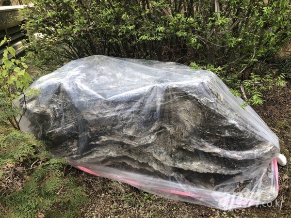 지난 2021년 인천 연수구의 한 아파트에서 석면이 발견된 조경석에 비닐을 씌워 임시조치를 한 모습. [사진제공=환경보건시민센터]