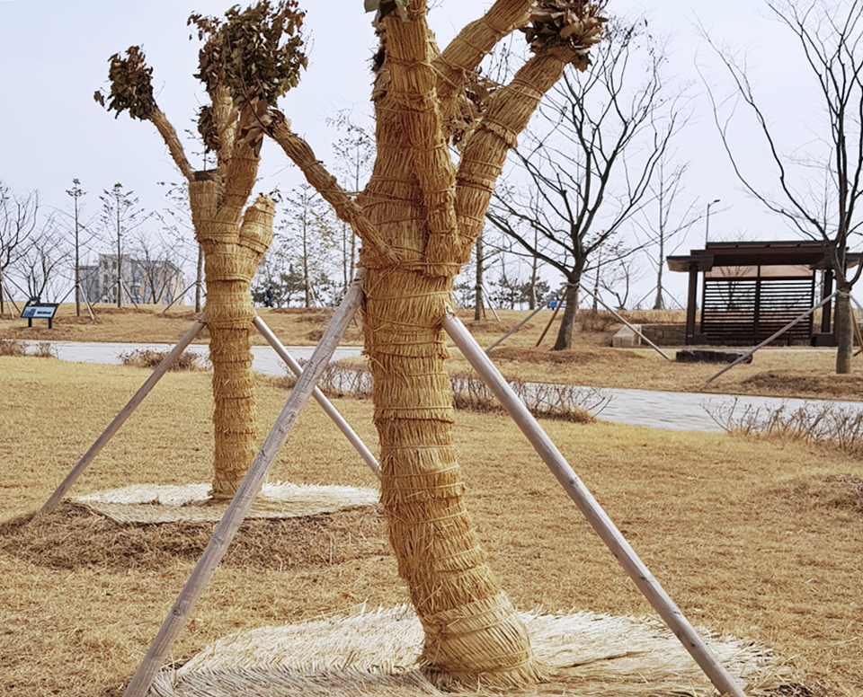 나무 겨울나기(보온재)