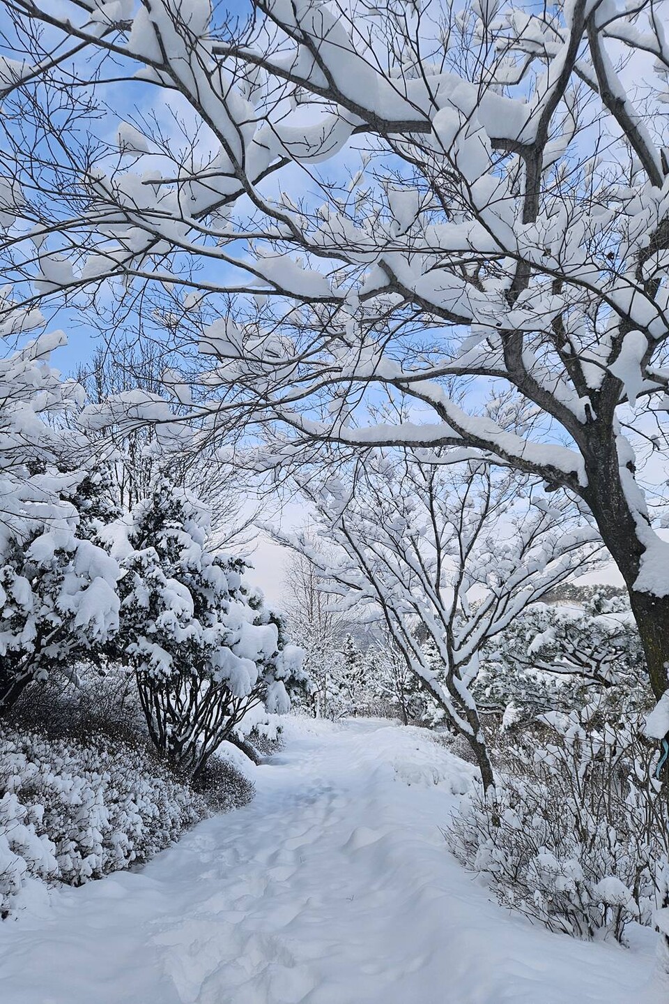 희귀식물원 겨울 전경