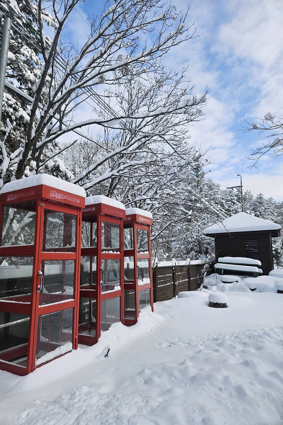 숲속책장 앞 전경