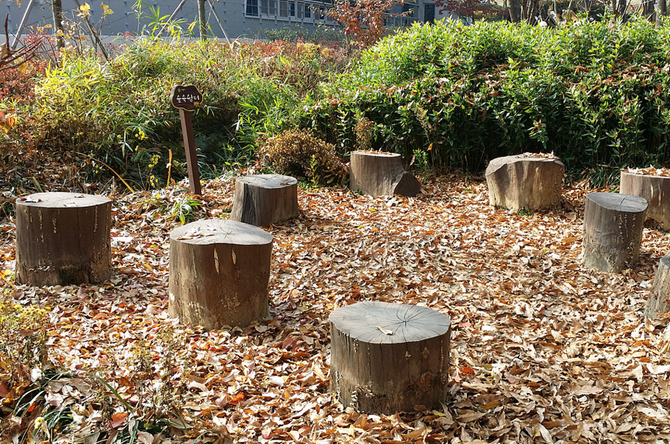 멀칭재-낙엽은 좋은 멀칭재가 된다