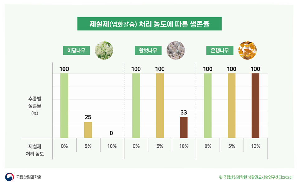 참고 국립산림과학원 수목진료기술4, 기상청 블로그