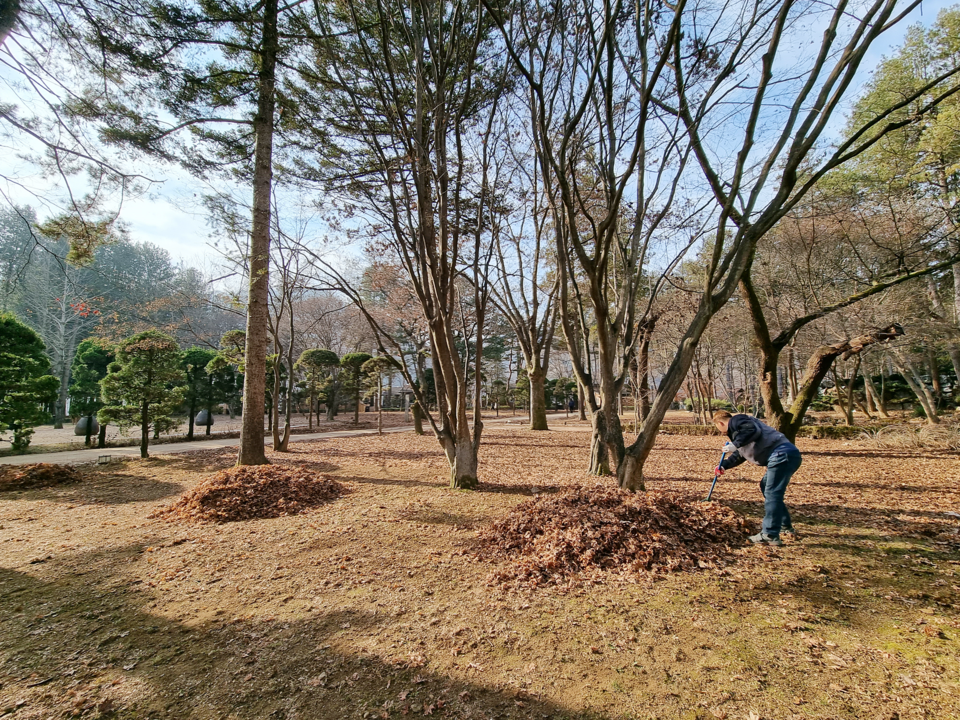 낙엽을 모으고 있는 모습