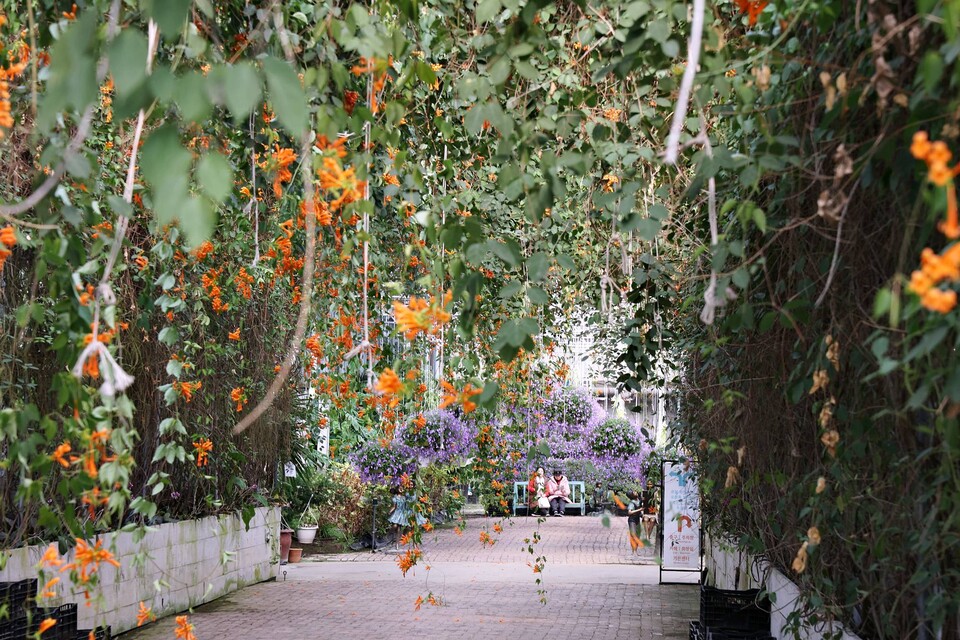 알록달록한 꽃터널이 아름다운 세계꽃식물원