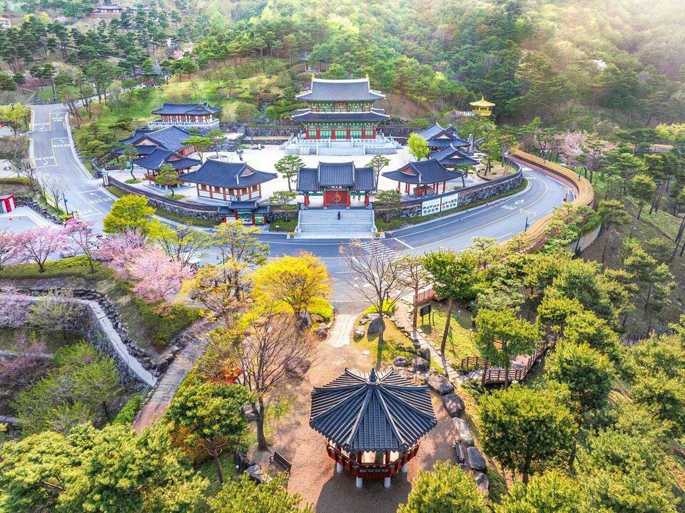 동의보감촌의 봄