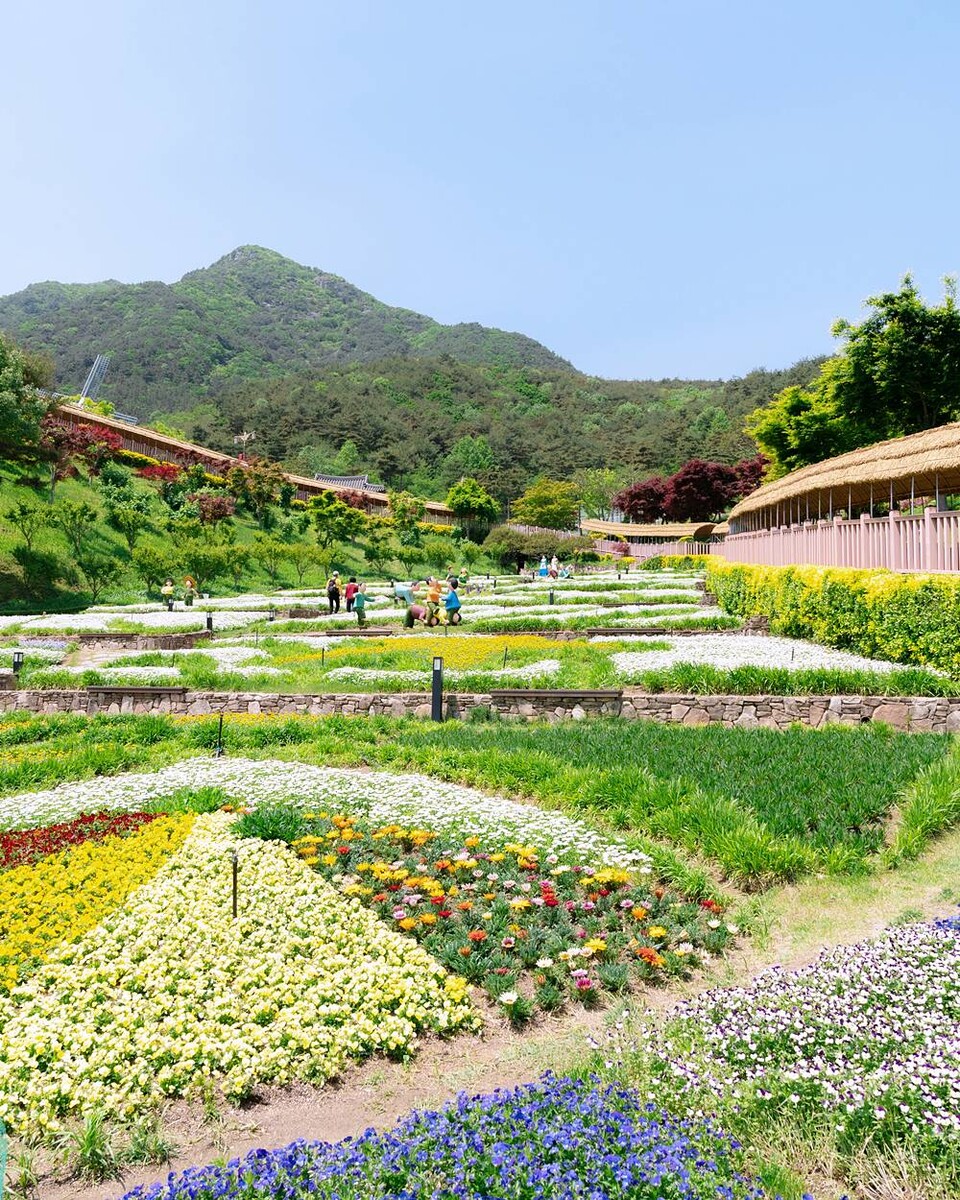 동의보감촌 약초테마공원