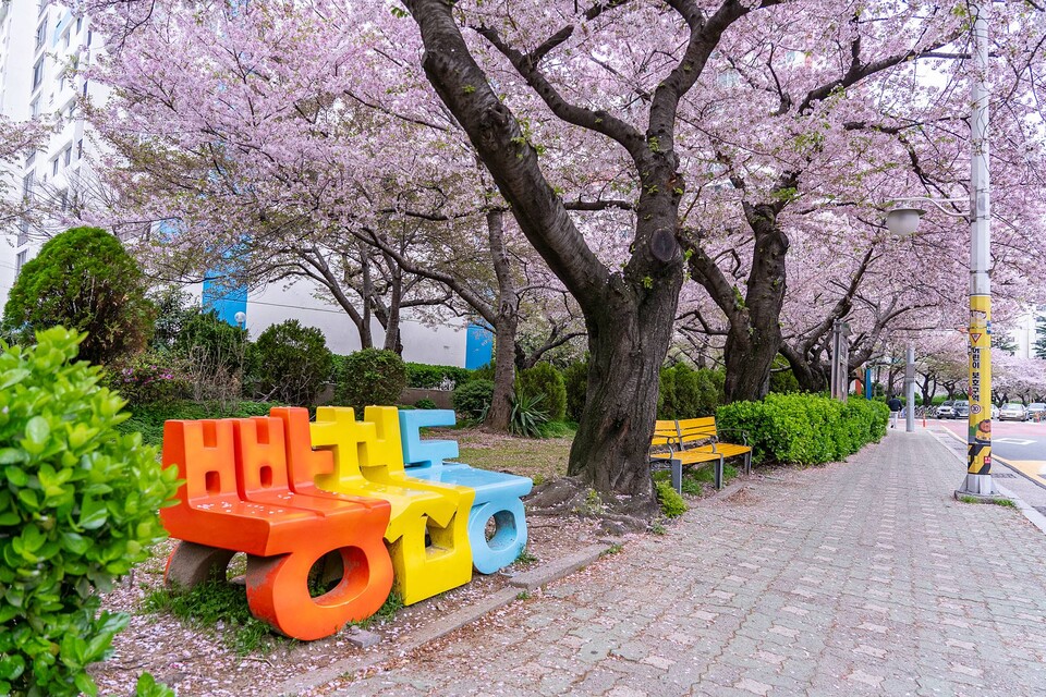 제과점 30여 곳이 모여 있는 수영구 남천동은 일명 빵천동이라 불린다