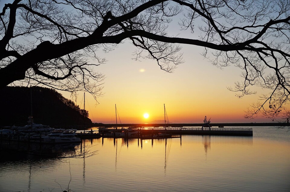 남해 물건리 방조어부림에서 바라본 일출