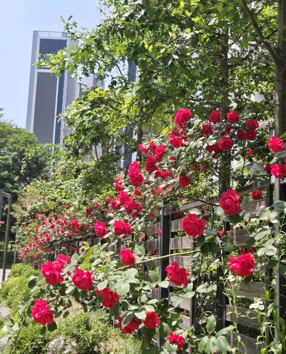 [아파트관리신문]