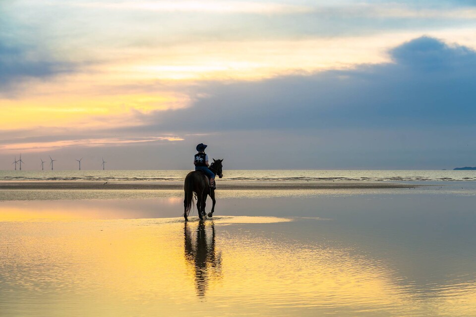 휘게팜 고창해변승마클럽 승마 체험 프로그램. 썰물 후 바닷물이 남아 있는 구역까지 들어가 볼 수 있다.
