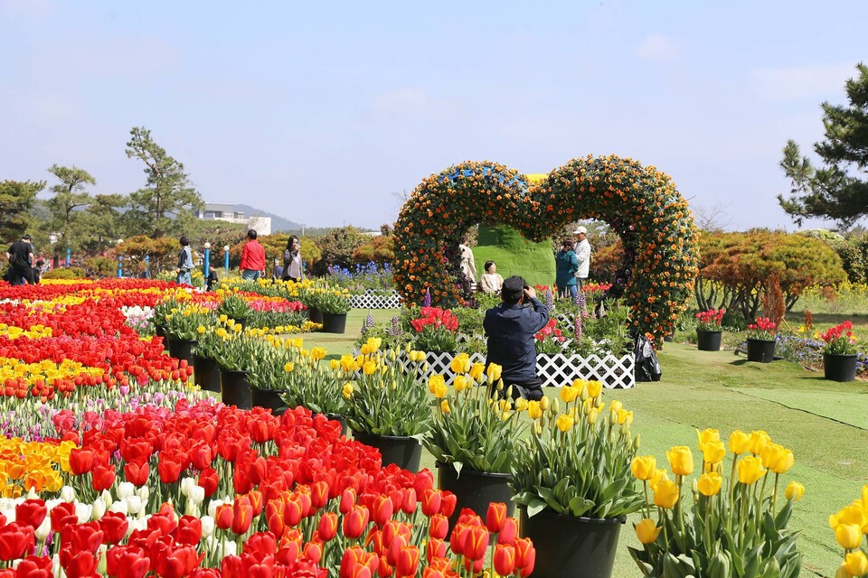 태안세계꽃박람회 전경.