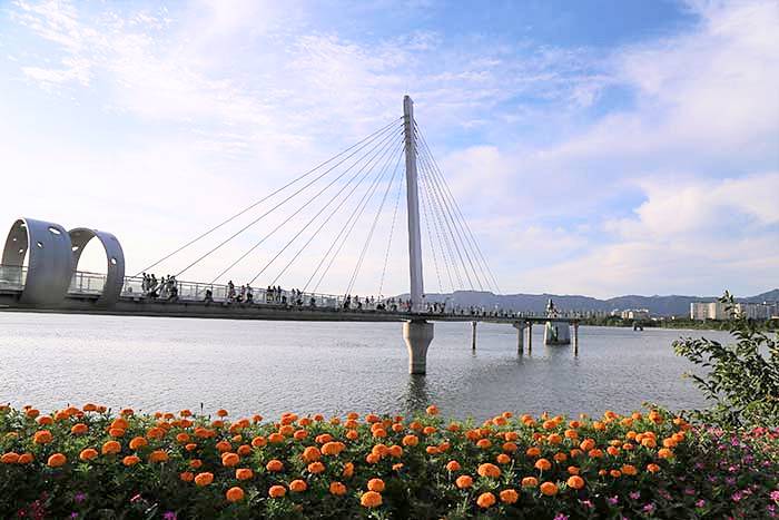 투명 유리 구간 156m에 이르는 소양강스카이워크 전경