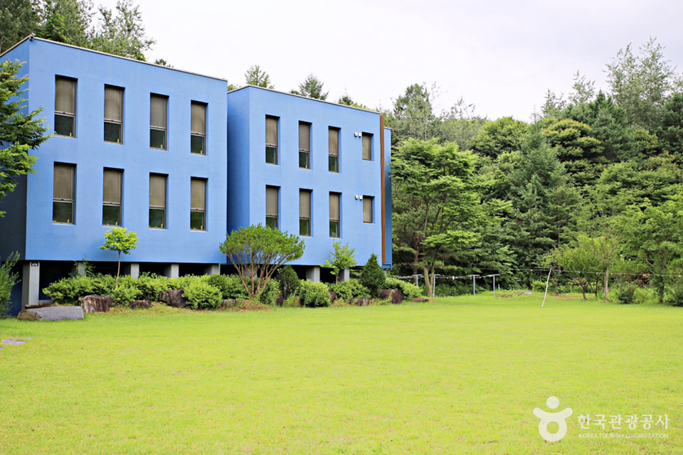 푸른빛이 감도는 수련동